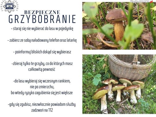 Bezpiecznie na grzybach