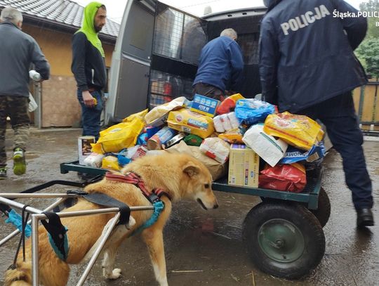 Bieruńscy policjanci wsparli przytulisko dla zwierząt