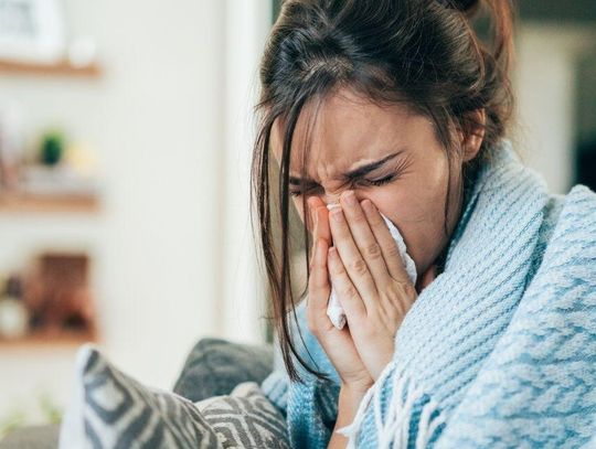 Polska specjalność. Chomikowanie L4 na grudzień. Jest powód