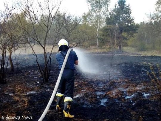 Wypalanie traw stało się prawdziwą plagą w naszym powiecie