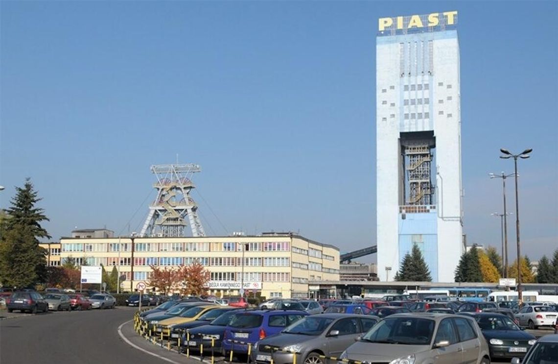 Pół wieku fedrowania