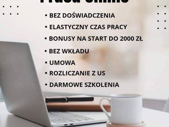 Praca stała lub dodatkowa zdalna, w domu, przez internet